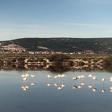 Flamants Roses 1 Pers 6 Frontignan Exterior foto